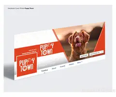 Creare site-uri web / Design - 8