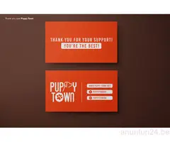 Creare site-uri web / Design - 9