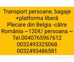 Transport persoane, colete + platforma