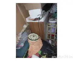 Gigi VIDER MAISON - 7