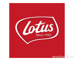 Productie biscuiti in Kaprijke / Lembeke !