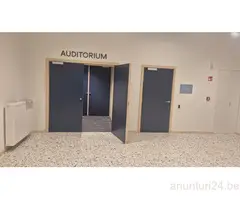 Tâmplari , uși  si mobilier - 3