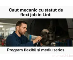 Caut mecanic auto cu statut de flexi job in Lint langa Antwerpen