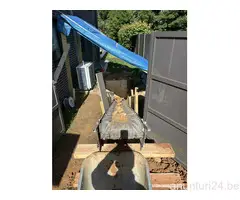 Renovarii