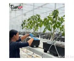 Suntem în căutare de colegi noi pentru echipa noastră (SERĂ, Belgia)
