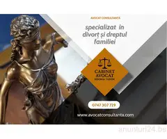 Avocat Consultanta Juridica Online pentru Romanii din Belgia