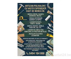 Artizan polivalent,