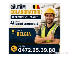 Căutăm colaboratori